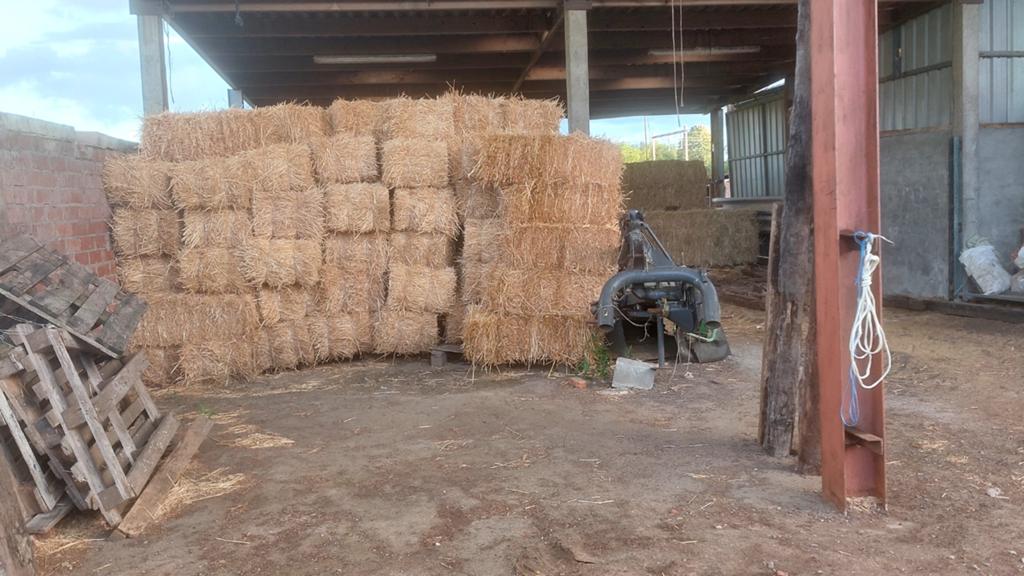 Kleine balen stro te koop, Dieren en Toebehoren