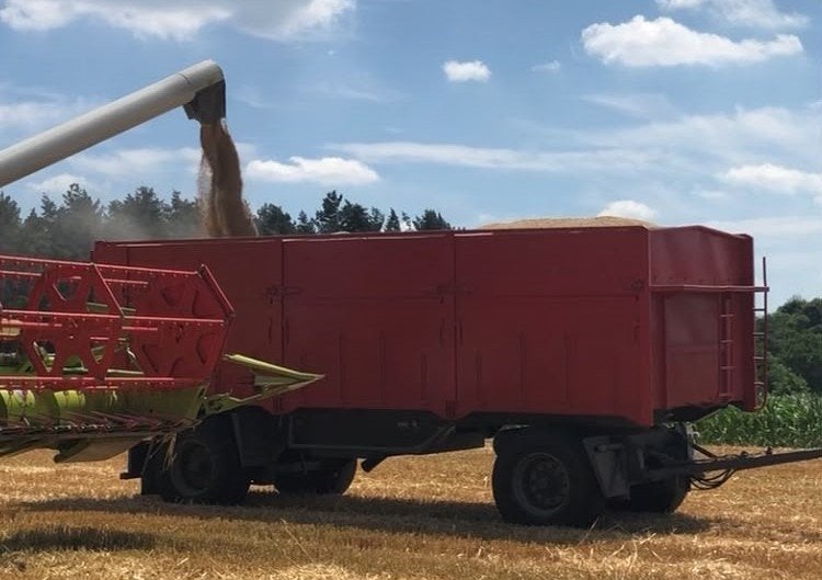 Kipper vierwielwagen - WAF, Ophalen, Akkerbouw, Transport