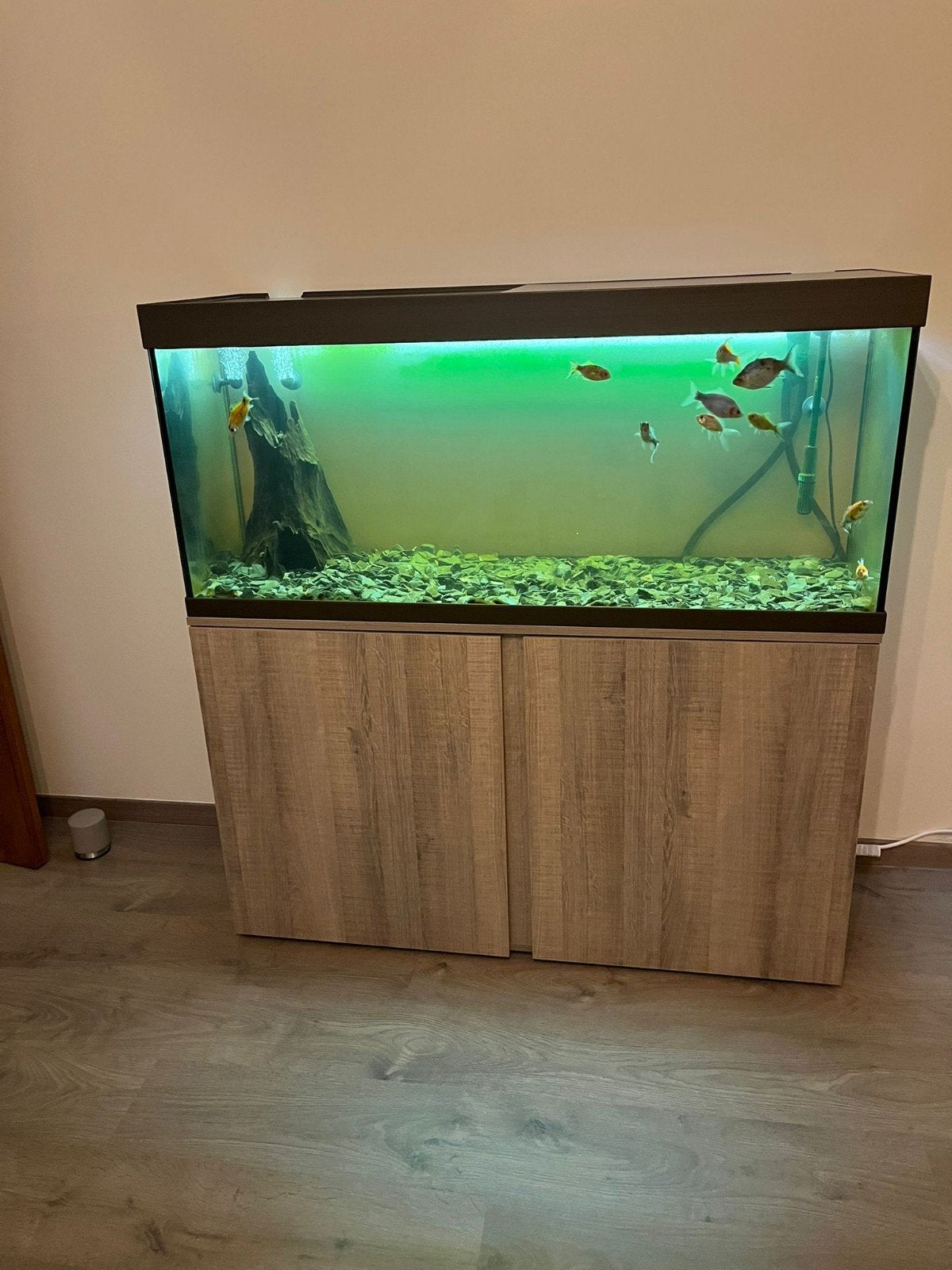 Aquarium Eheim 240L + meubel, Dieren en Toebehoren, Vissen | Aquaria en Toebehoren, Filter, Pomp, Eheim, Ophalen