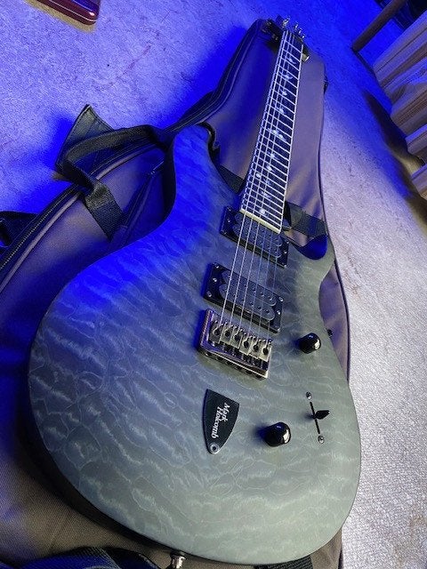 PRS SE, Muziek en Instrumenten, Ophalen, Gebruikt, Solid body, Paul Reed Smith