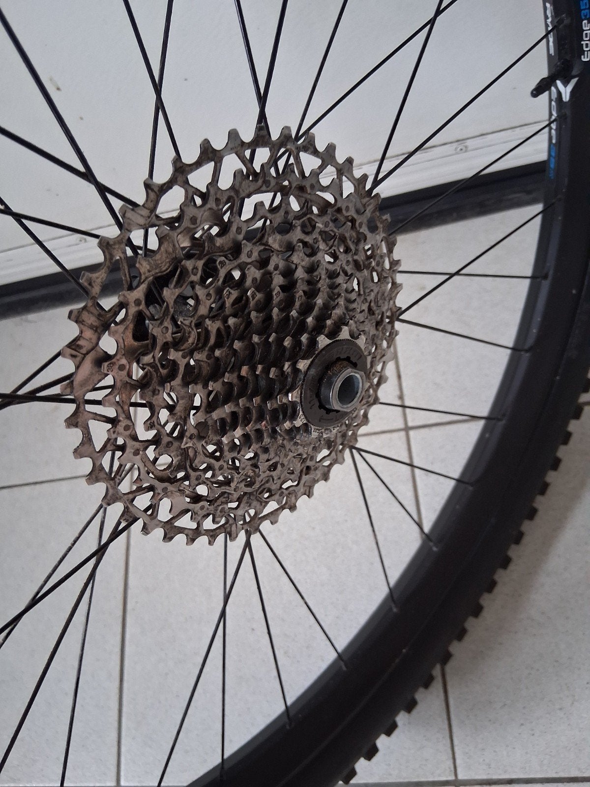 Wiel 29inch 148 boost maxxis dd, Ophalen of Verzenden, Mountainbike, Band