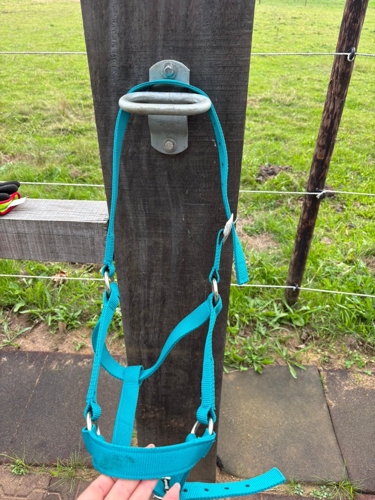 Fouganza halster blauw – maat COB, Dieren en Toebehoren, Ophalen, Blauw, Halster, Cob