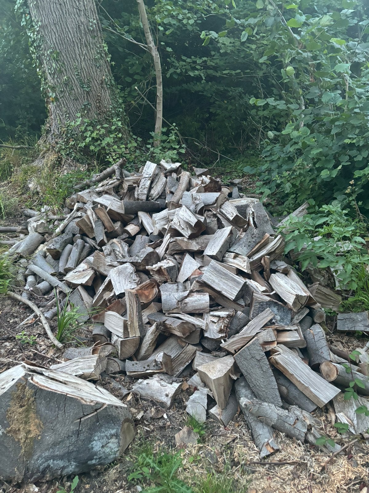 Halfdroog beukenhout brandhout, Tuin en Terras, Brandhout, Ophalen, Beukenhout