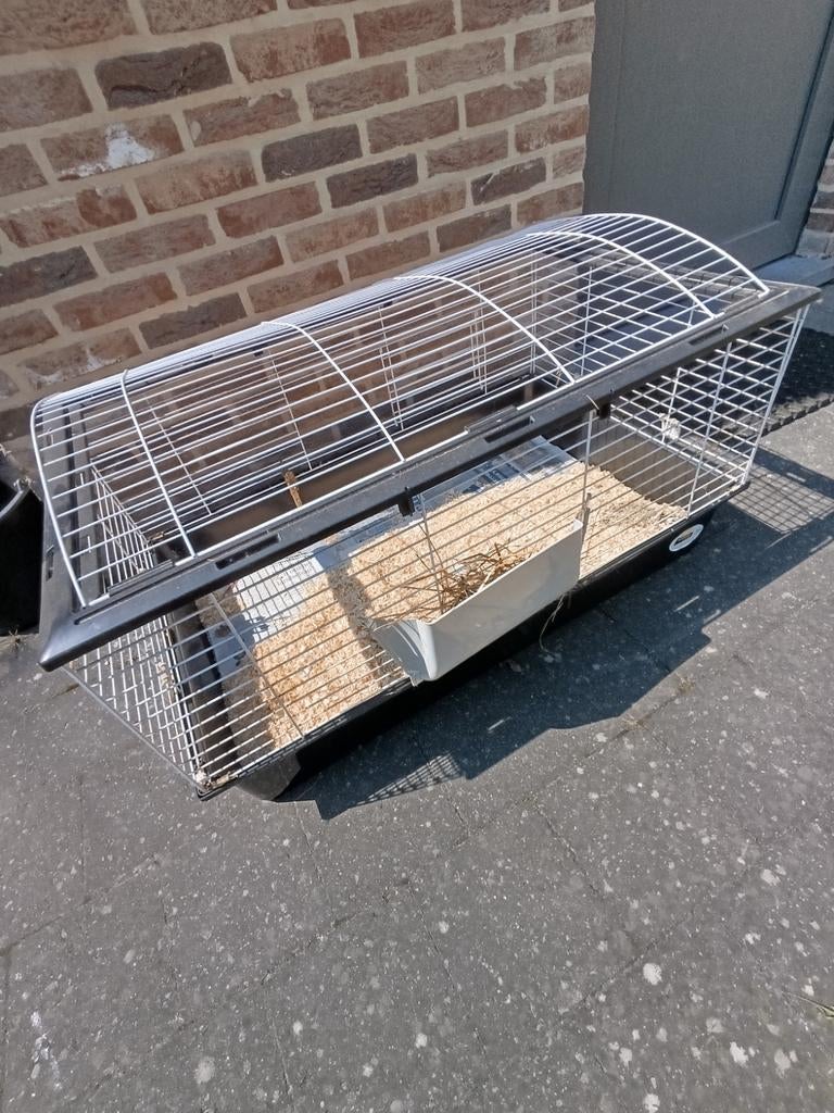 Cavia kooi, Dieren en Toebehoren, Ophalen, Kooi, Cavia