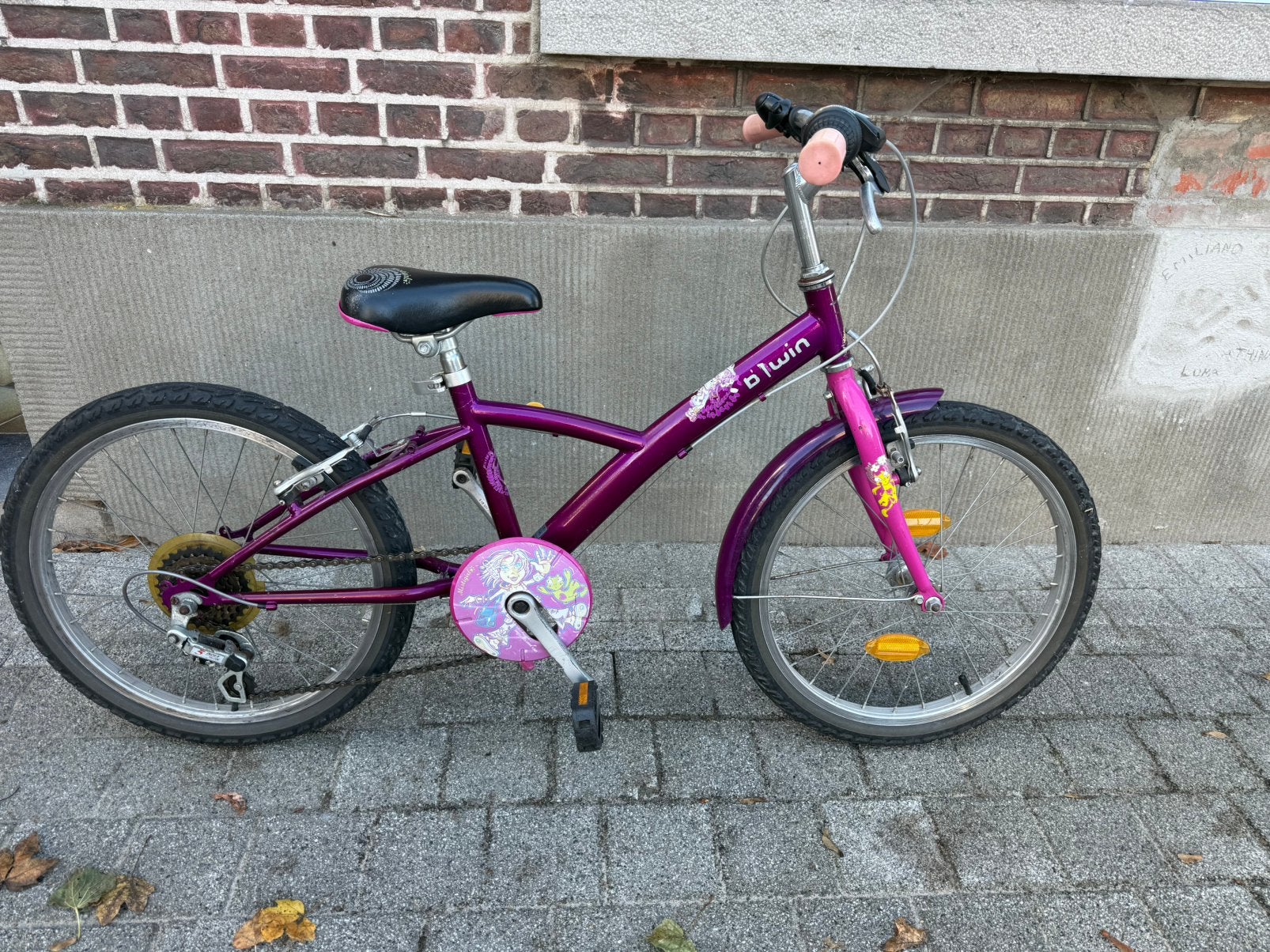 Meijesfiets, Enlèvement, Utilisé, 20 pouces