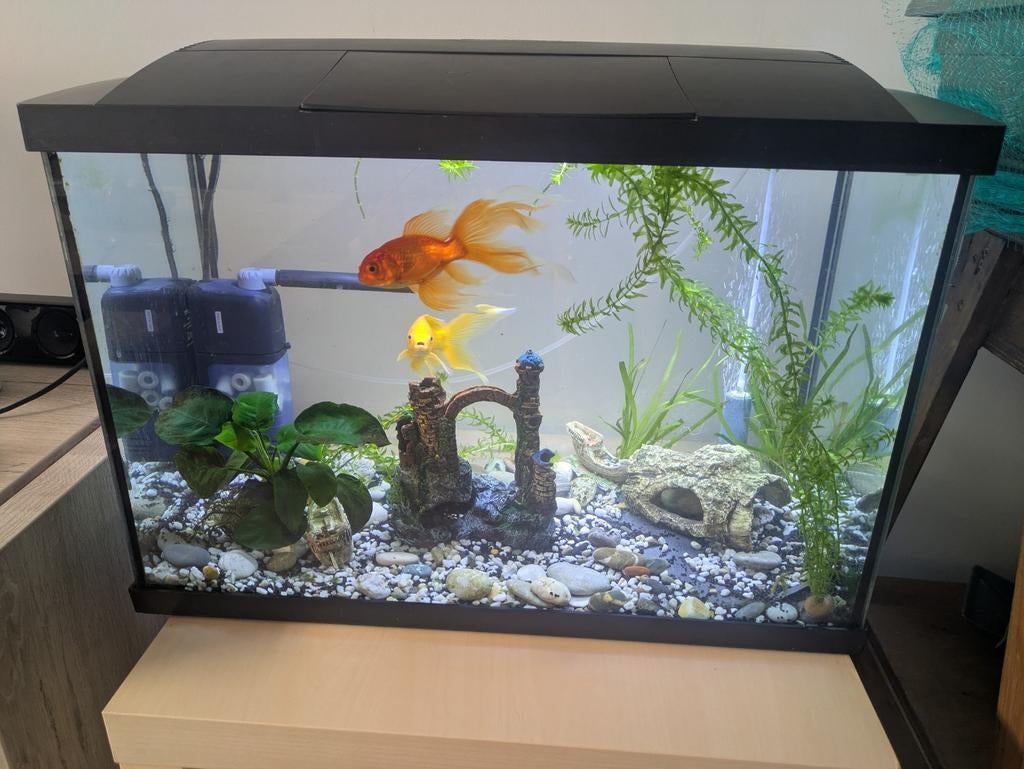 Volledig aquarium 70L, Ophalen, Superfish