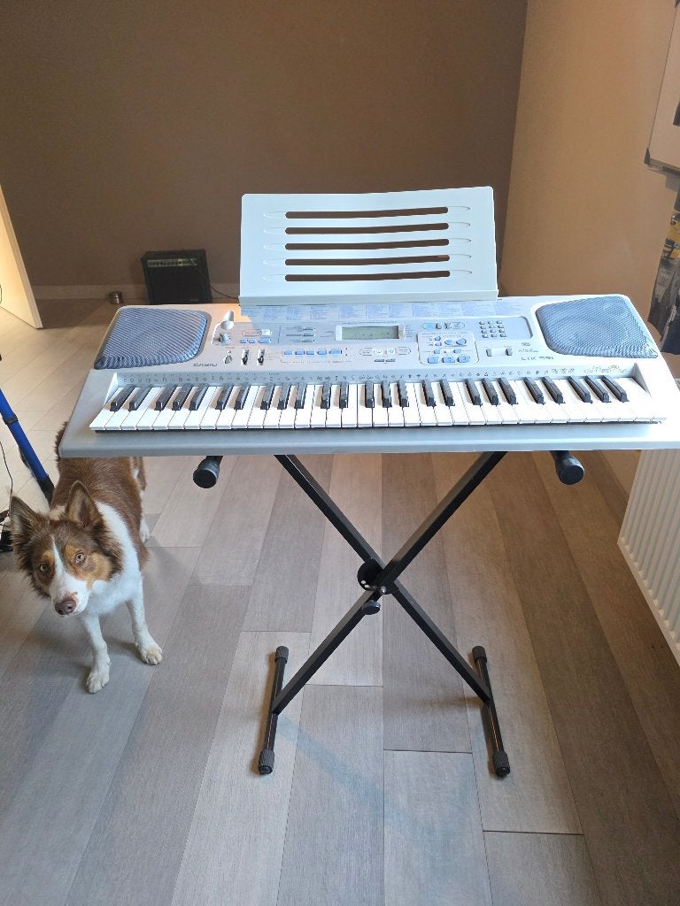Casio CTK-591, Musique & Instruments, Sensitif, Comme neuf, Enlèvement, 61 touches
