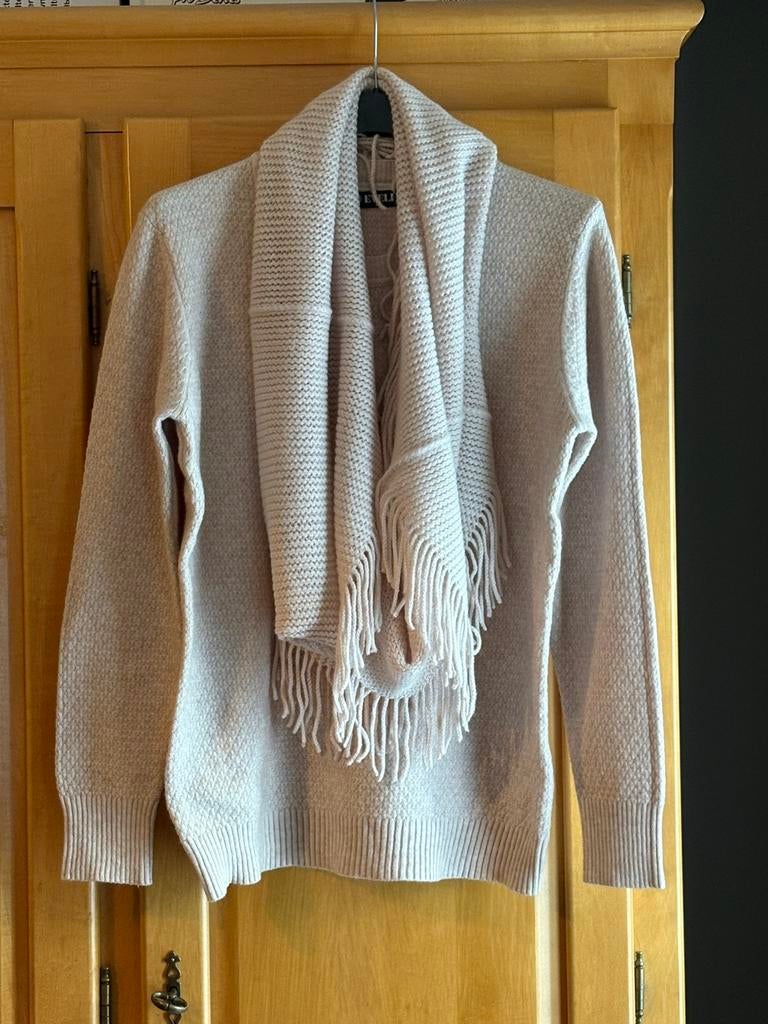 Trui + sjaal van Evelin (M/L)., Kleding | Dames, Ophalen of Verzenden, Nieuw, Maat 38/40 (M), Beige