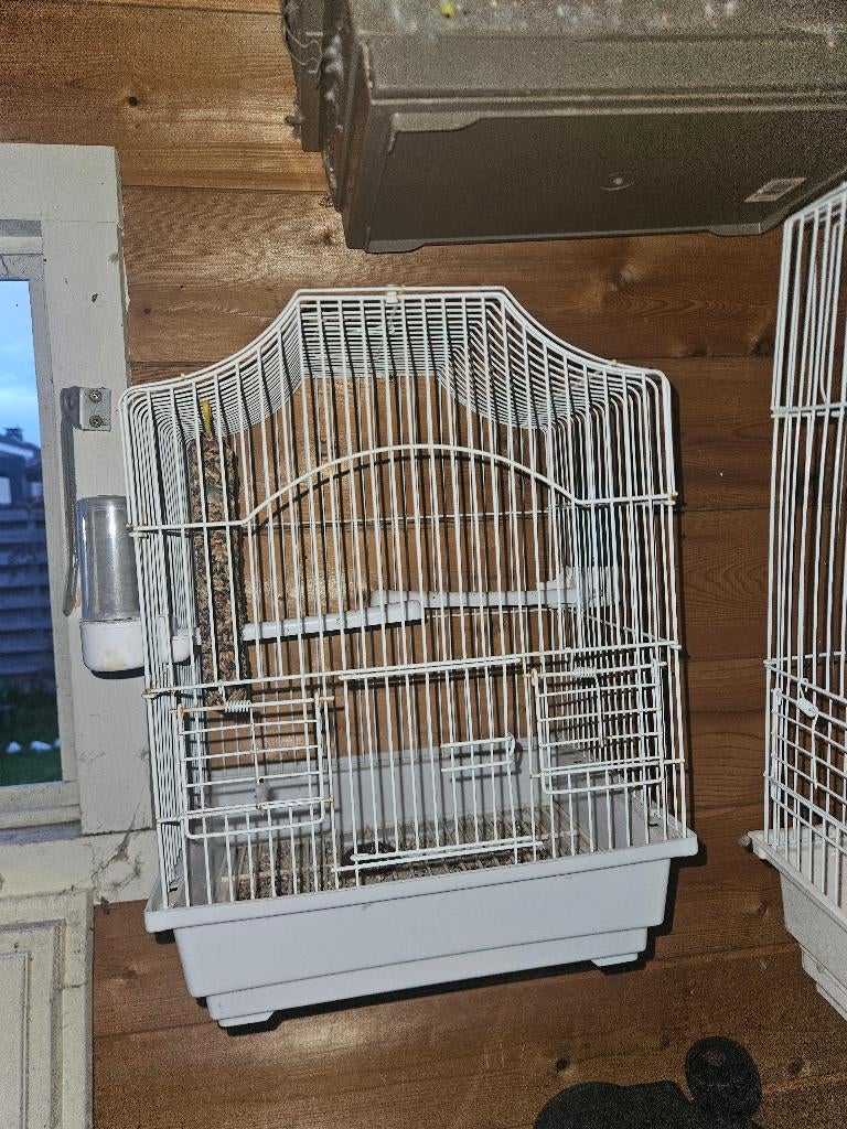 Vogelskooi, Enlèvement, Comme neuf, Métal, Cage à oiseaux