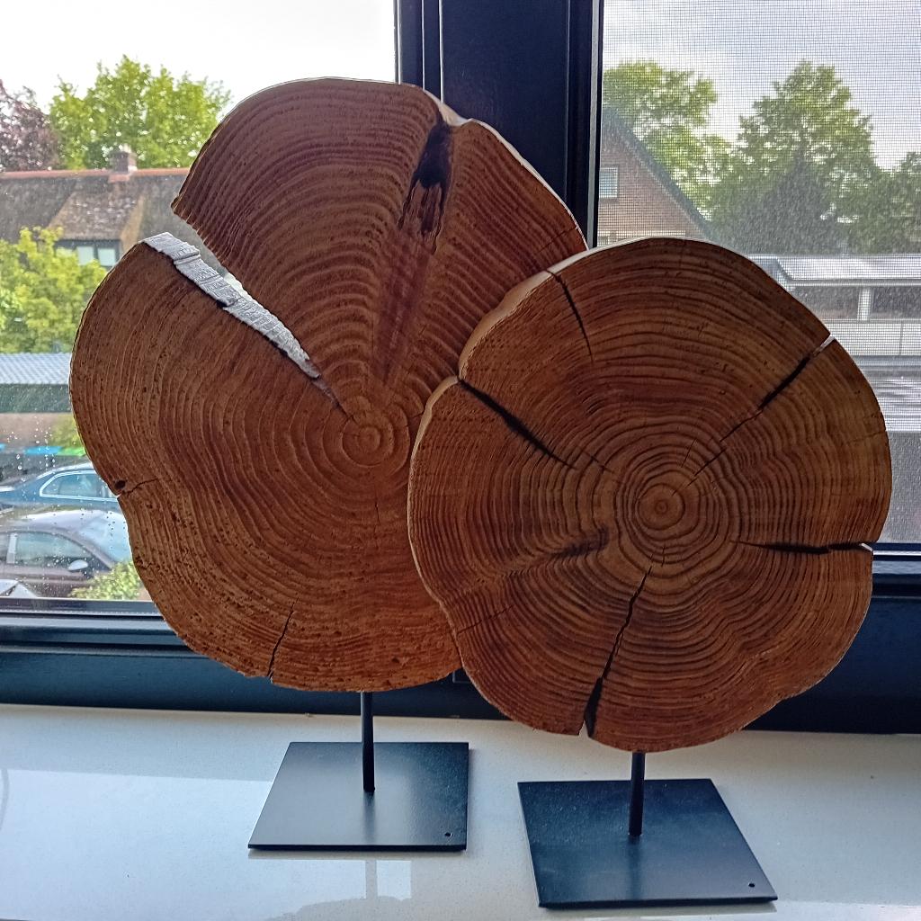 2 x houten ornament boomstam, Ophalen of Verzenden, Gebruikt