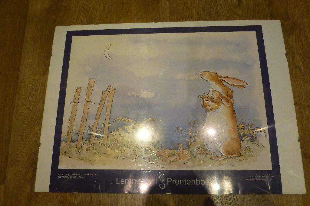 kader met poster van konijn, Ophalen, Gebruikt, Rechthoekig Liggend, A1 t/m A3