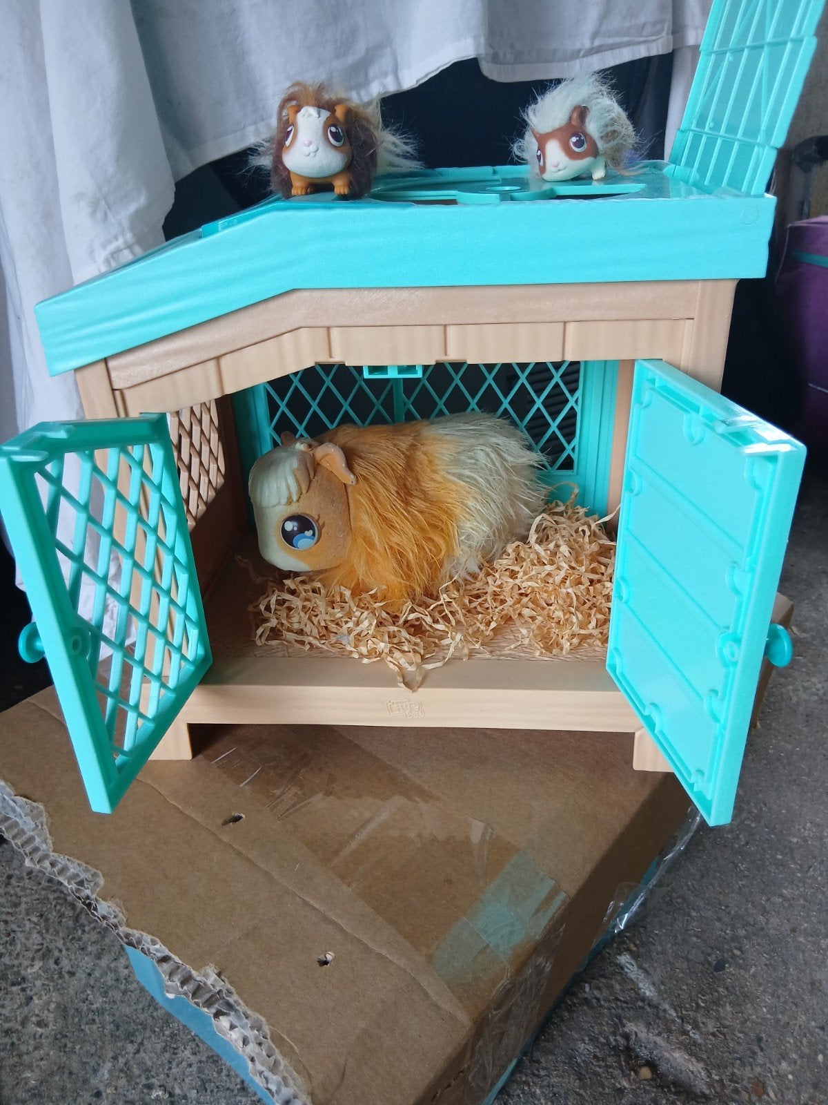Cavia, Ophalen