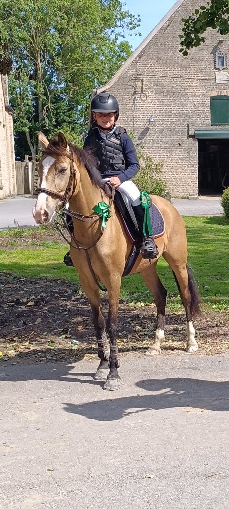 C pony te koop, Dieren en Toebehoren, Merrie, B, C pony (1.27m tot 1.37m), 3 tot 6 jaar