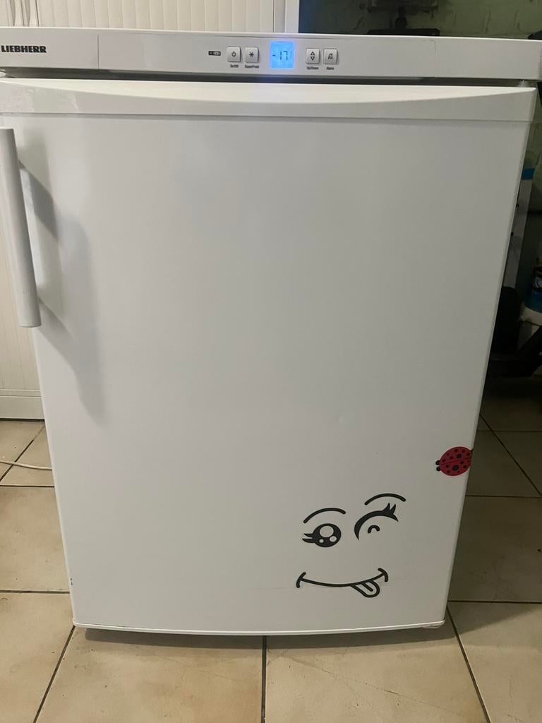 Congélateur Liebherr No frost, Elektronische apparatuur, Vriezers en Diepvrieskisten, Ophalen, Zo goed als nieuw, Vrieskast