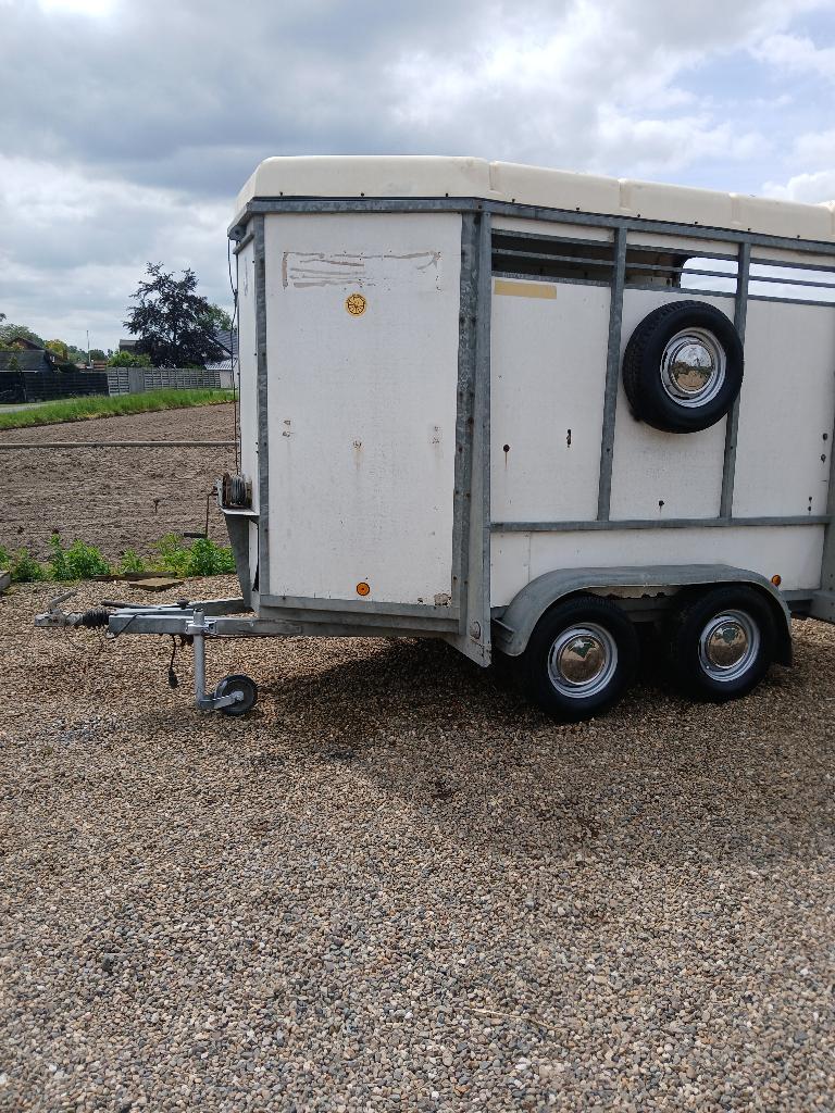 Packo vee aanhangwagen, Ophalen of Verzenden, Veehouderij, Transport