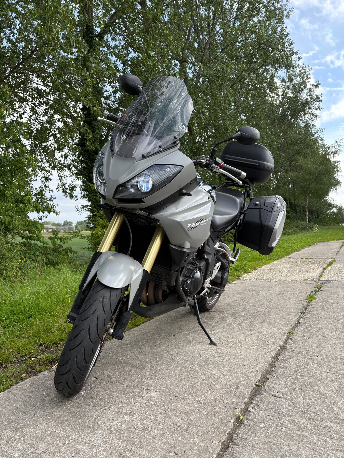 Triumph Tiger 1050, Motoren, Handvatverwarming, Motorrijbewijs A, Gebruikt, 3 cilinders