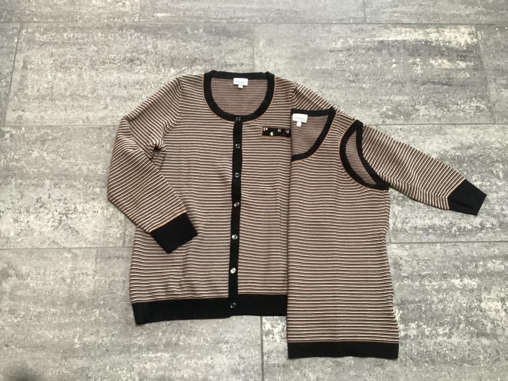 Trui z/m en Vest Mayerline, Kleding | Dames, Maat 38/40 (M), Mayerline, Overige kleuren, Nieuw