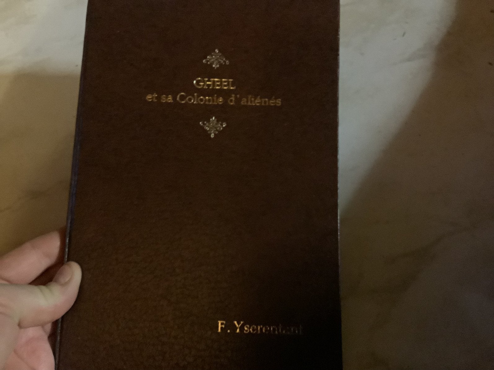 Boek Gheel et sa Colonie d’alienes, Boeken, Geschiedenis | Stad en Regio, Ophalen of Verzenden, Gelezen