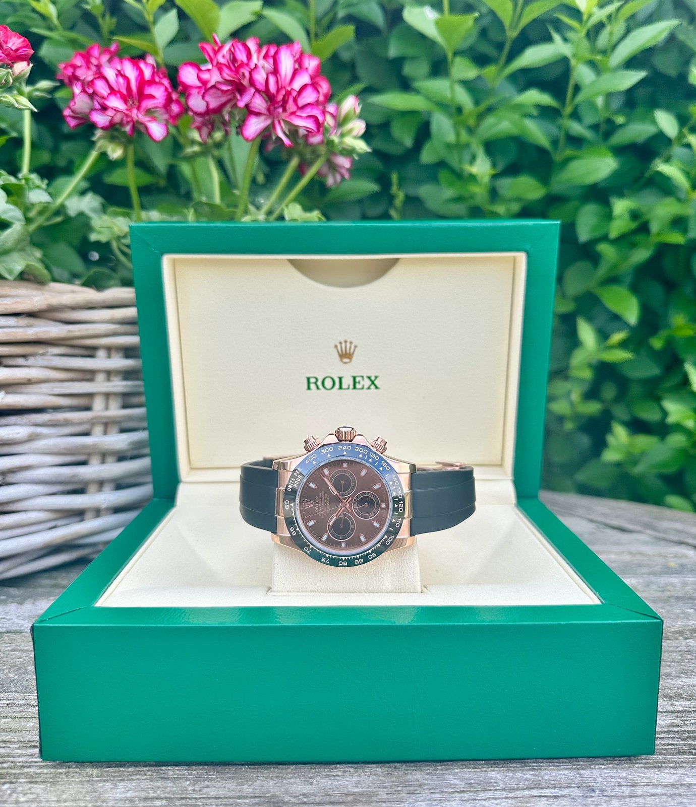 Rolex Daytona Chocolate, Ophalen of Verzenden, Nieuw, Rolex