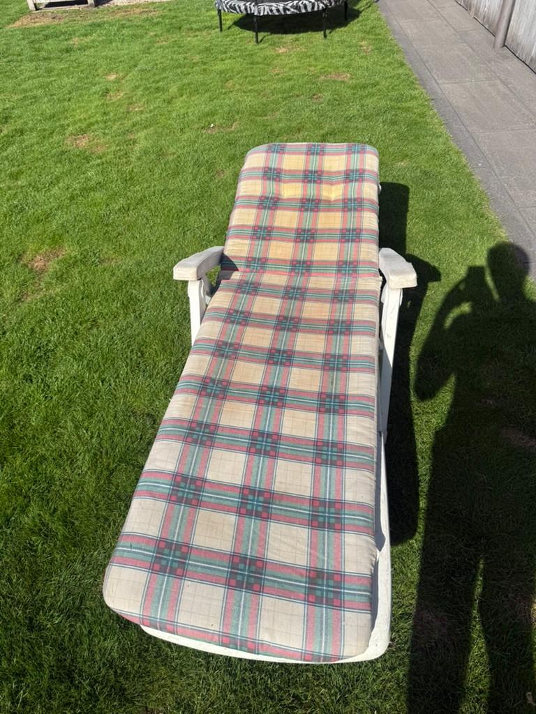 ligzetels- Kunststof, Jardin & Terrasse, Chaises longues, Enlèvement, Utilisé, Synthétique