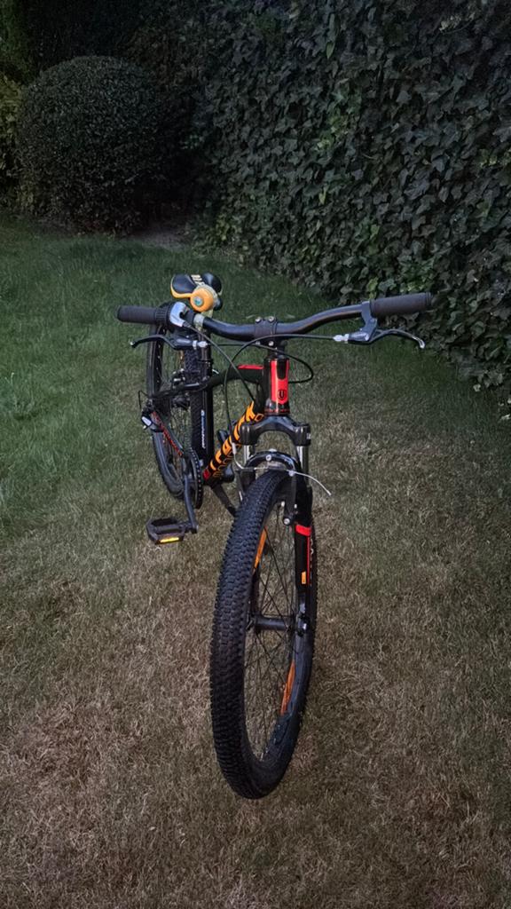 Mountainbike Kind, Ophalen, Gebruikt, Aluminium, Velgrem