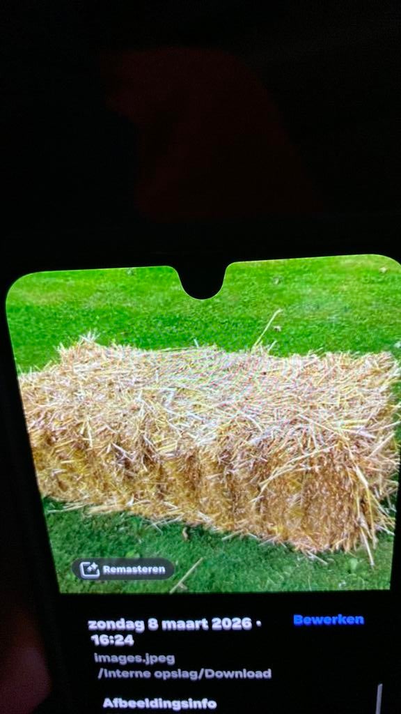 Stro 2€ per baal, Dieren en Toebehoren