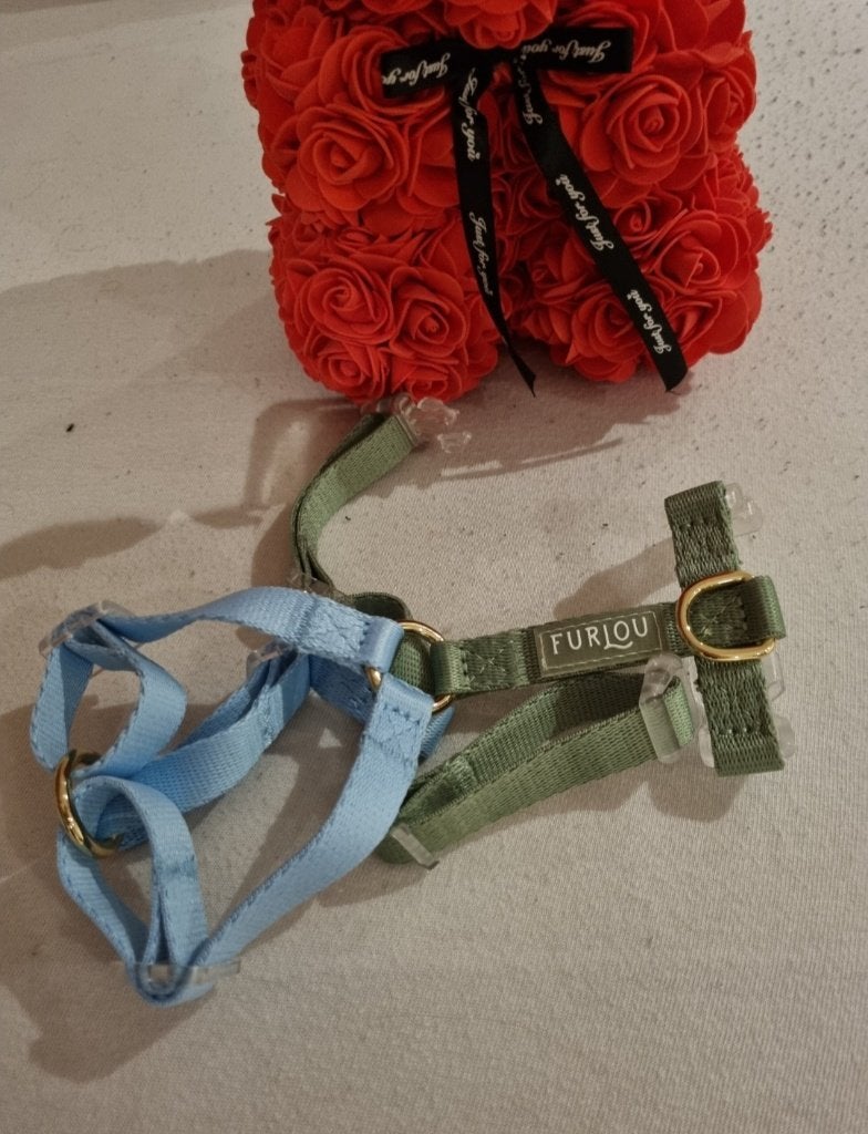 Harnais Furlou Y nouvelle taille S, Animaux & Accessoires, Autres marques, Enlèvement ou Envoi, Neuf, Harnais pour chien