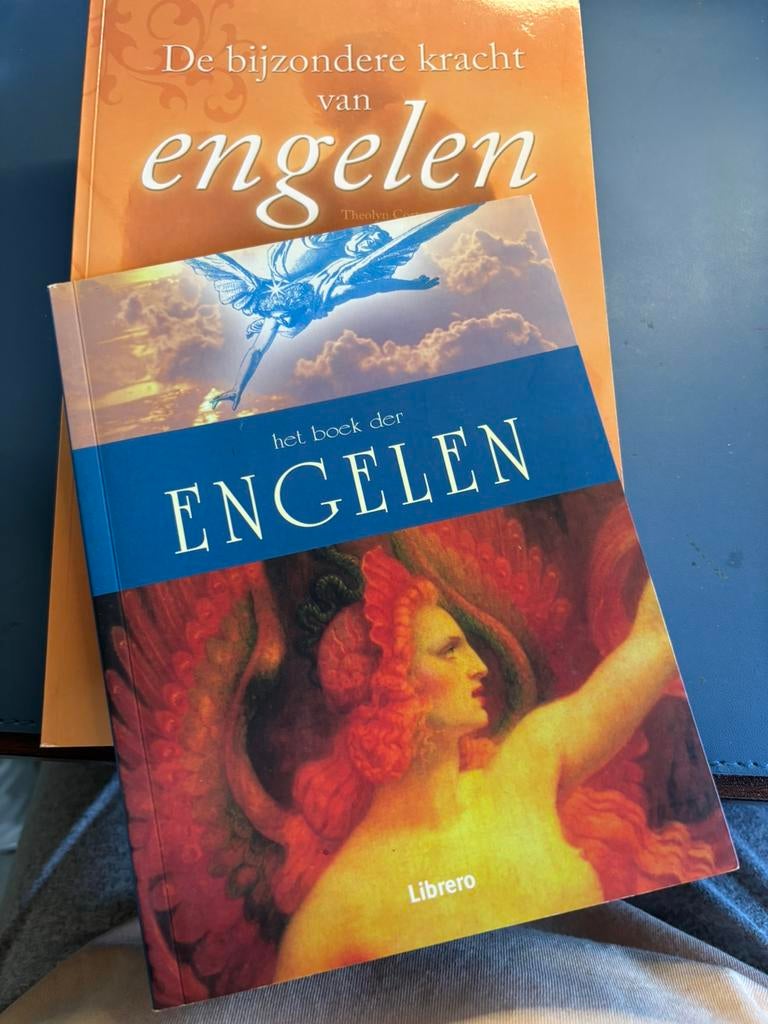 2 mooie inspirerende Engelen boeken, Enlèvement ou Envoi, Comme neuf, Spiritualité en général, Autres types