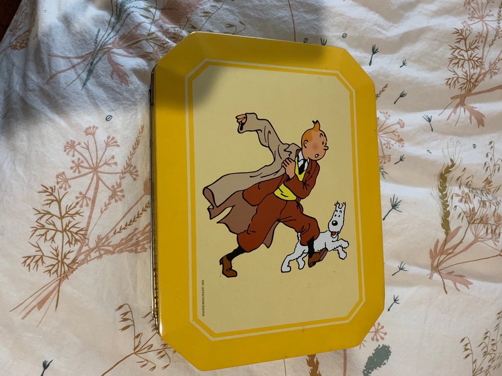 Boîte en fer blanc avec Tintin, Maison & Meubles, Cuisine| Tupperware, Envoi, Utilisé
