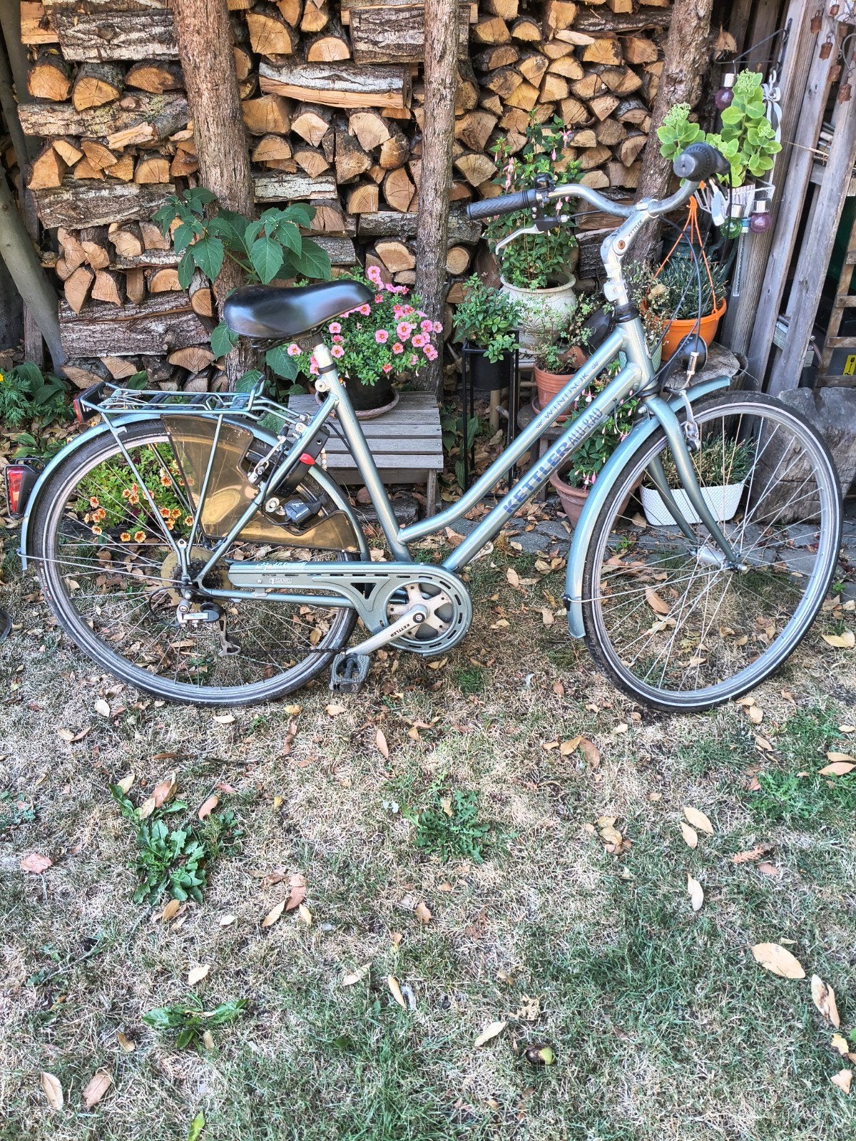 Damesfiets Kettler, Ophalen