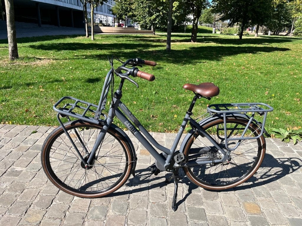 Gazelle HeavyDutyNL, Vitesses, 53 à 56 cm, Comme neuf, Enlèvement