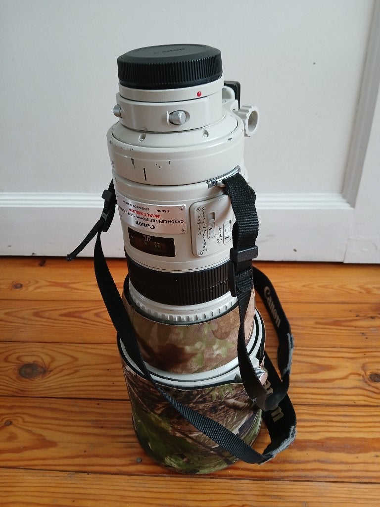 Canon EF 300mm F/2.8 IS USM, Enlèvement, Utilisé, Téléobjectif