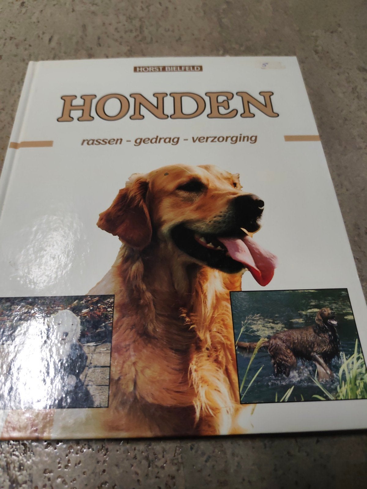 Bielefeld - Honden rassen gedrag verzorging, Livres, Animaux & Animaux domestiques, Enlèvement ou Envoi, Bielefeld