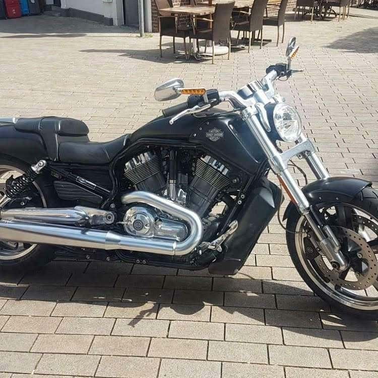 Harley Davidson Vrod Muscle, Motos, Motos | Harley-Davidson, Chopper, 2 cylindres, Particulier