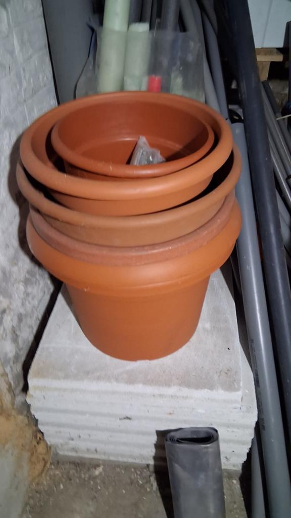 Pot de fleurs, Enlèvement