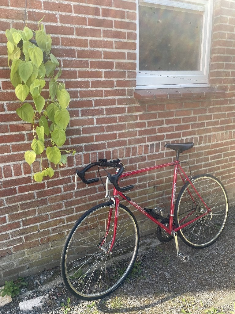 Vintage Koersfiets Peugeot, Vélos & Vélomoteurs, Frein sur jante, Années 60 ou plus récent, Peugeot, Enlèvement