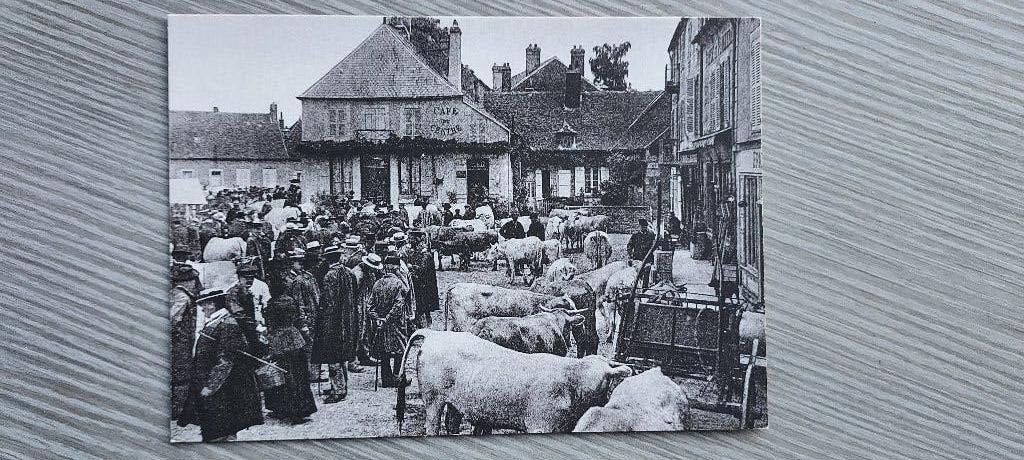 postkaart veemarkt in de Morvan (Bourgogne), Verzamelen, Postkaarten | Buitenland, Verzenden, Ongelopen, Frankrijk
