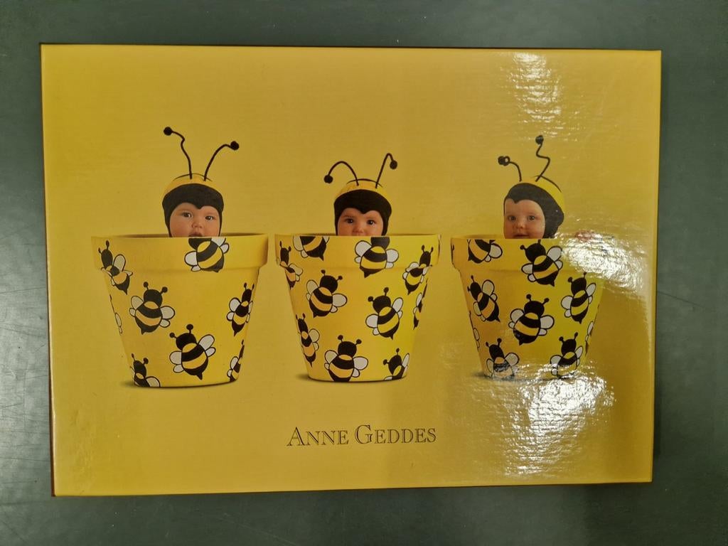 Nieuw Anne Geddes briefpapier en enveloppen, Ophalen of Verzenden, Nieuw