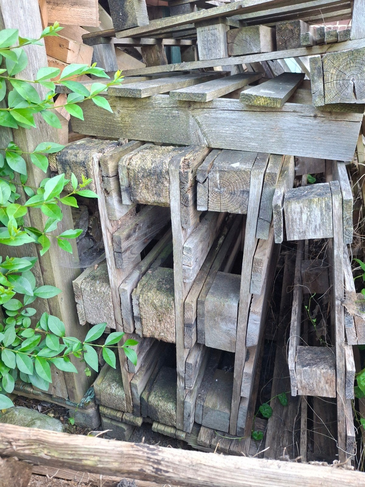 palettes en bois, Jardin & Terrasse, Enlèvement