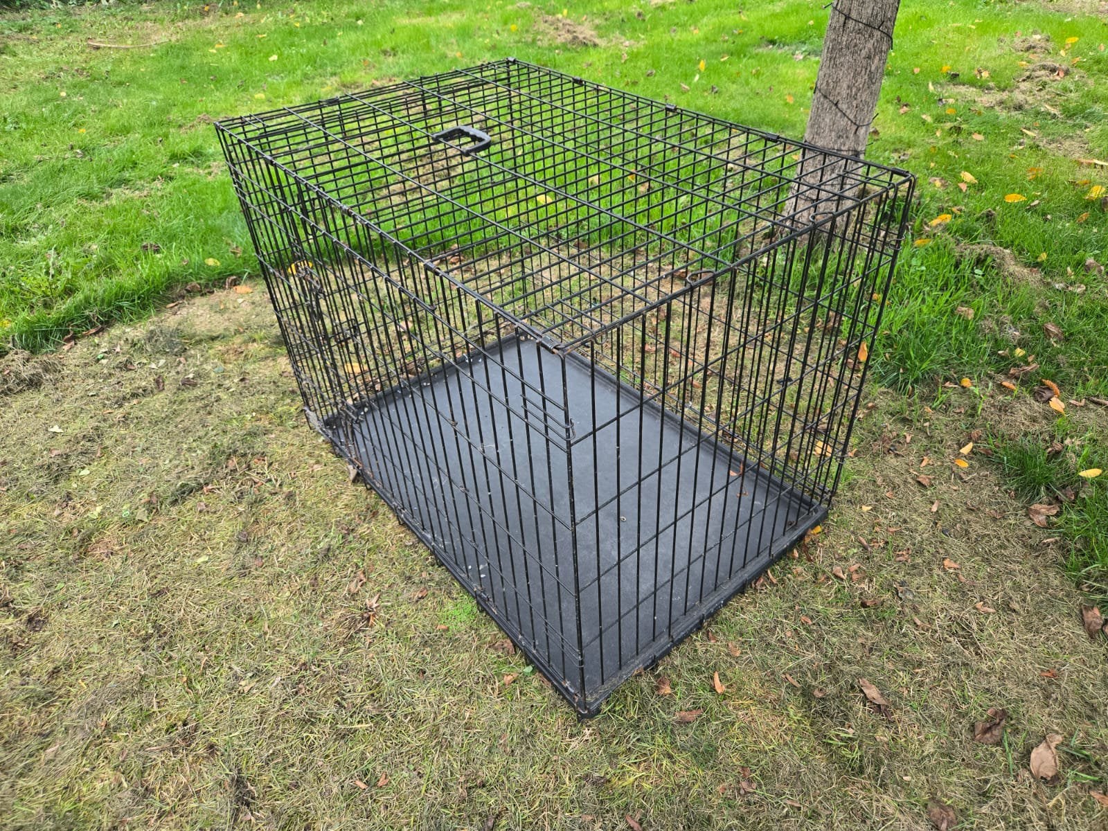 Grote Bench, Dieren en Toebehoren, Ophalen, Zo goed als nieuw