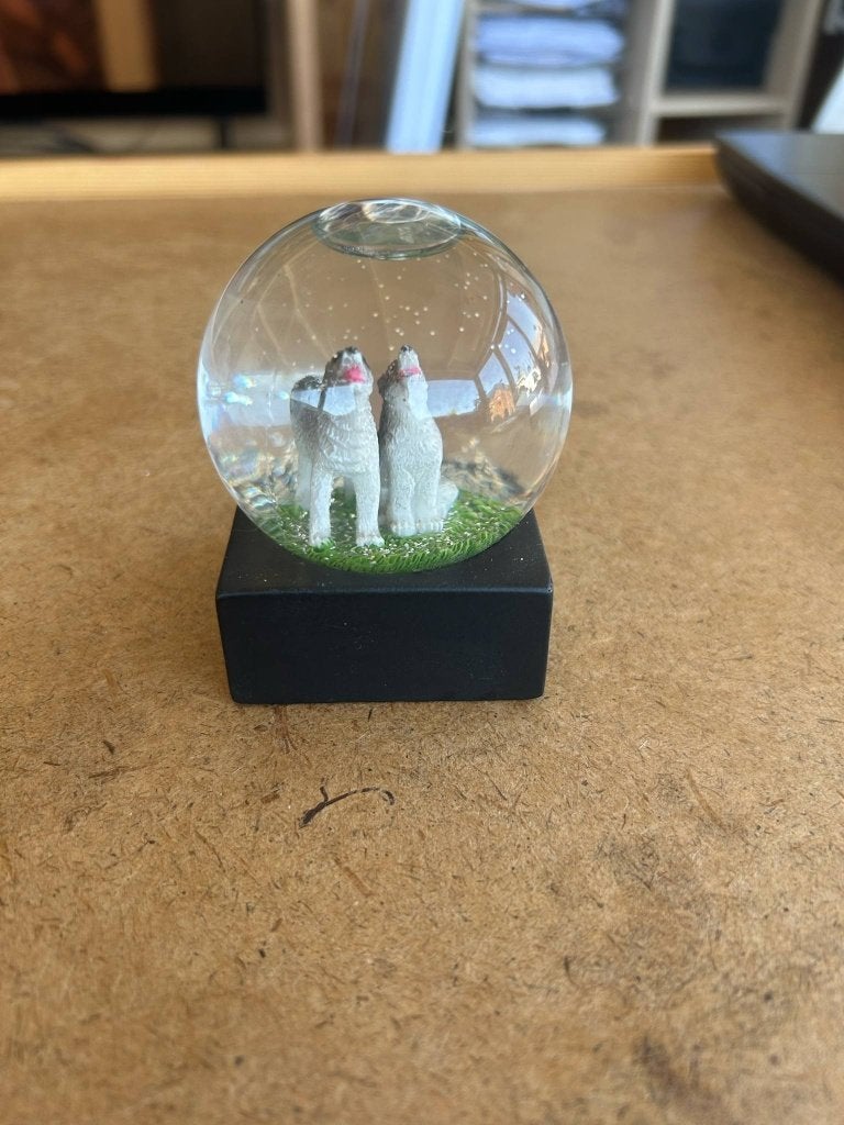 Boule à neige loup, Enlèvement, Utilisé