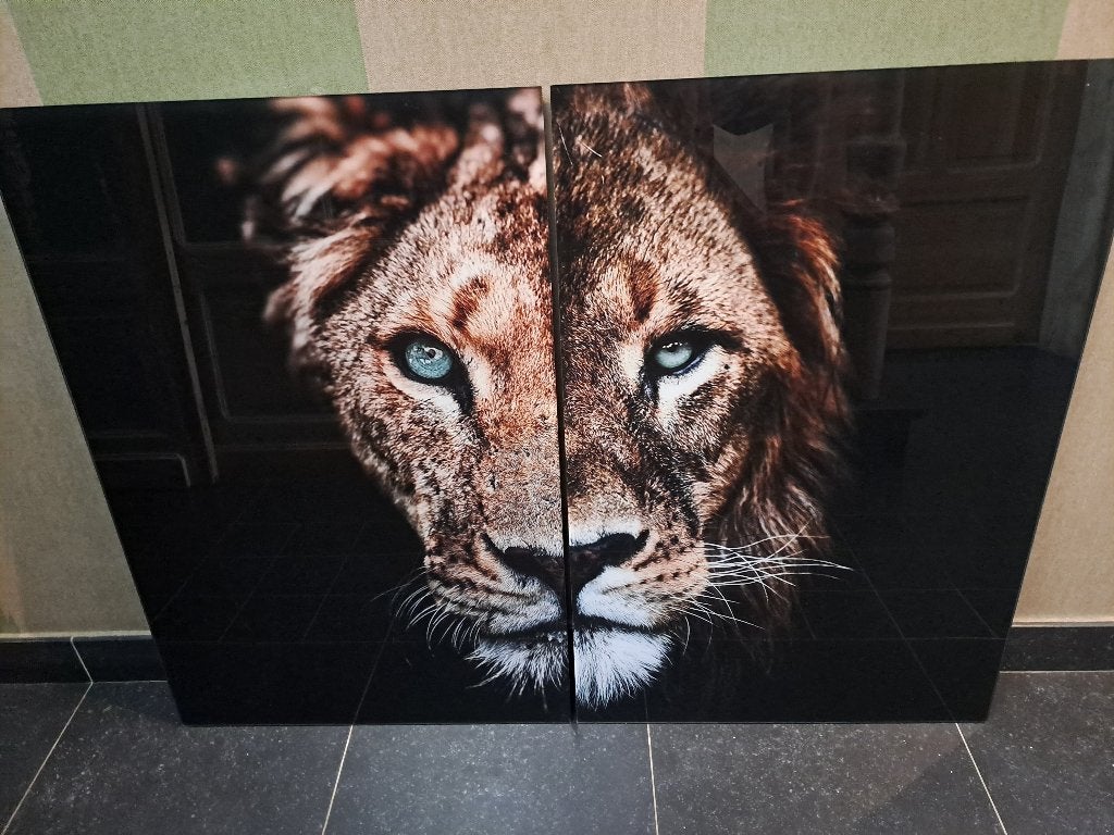 Kader leeuwen, Huis en Inrichting, Woonaccessoires | Schilderijen, Tekeningen en Foto's, Ophalen, 100 tot 125 cm, 75 – 100, Print