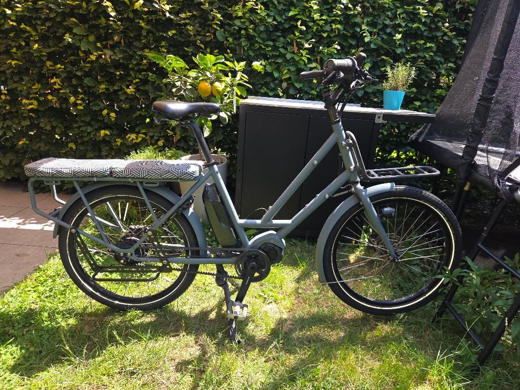 Vélo longtail compact (Veloe), Enlèvement, Utilisé, Autres marques