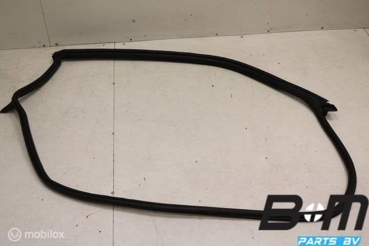 Portierrubber carrosseriezijde rechts VW Beetle 5C, Utilisé
