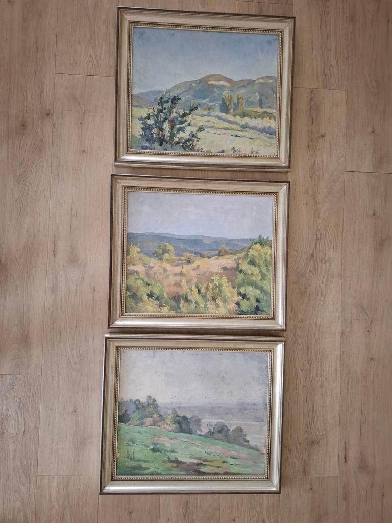 Sfeervolle schilderijtjes op doek 54x46, Ophalen