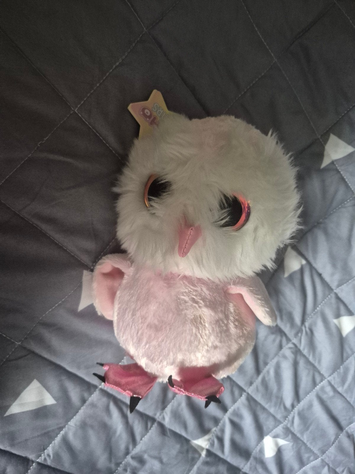 uil knuffeltje beetje vuil op, Enlèvement ou Envoi