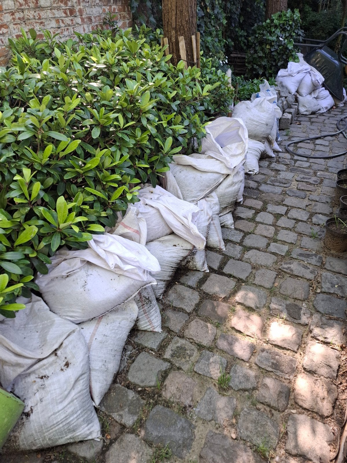 Gratis tuinaarde in zakken, Tuin en Terras, Aarde en Mest, Ophalen, Tuinaarde