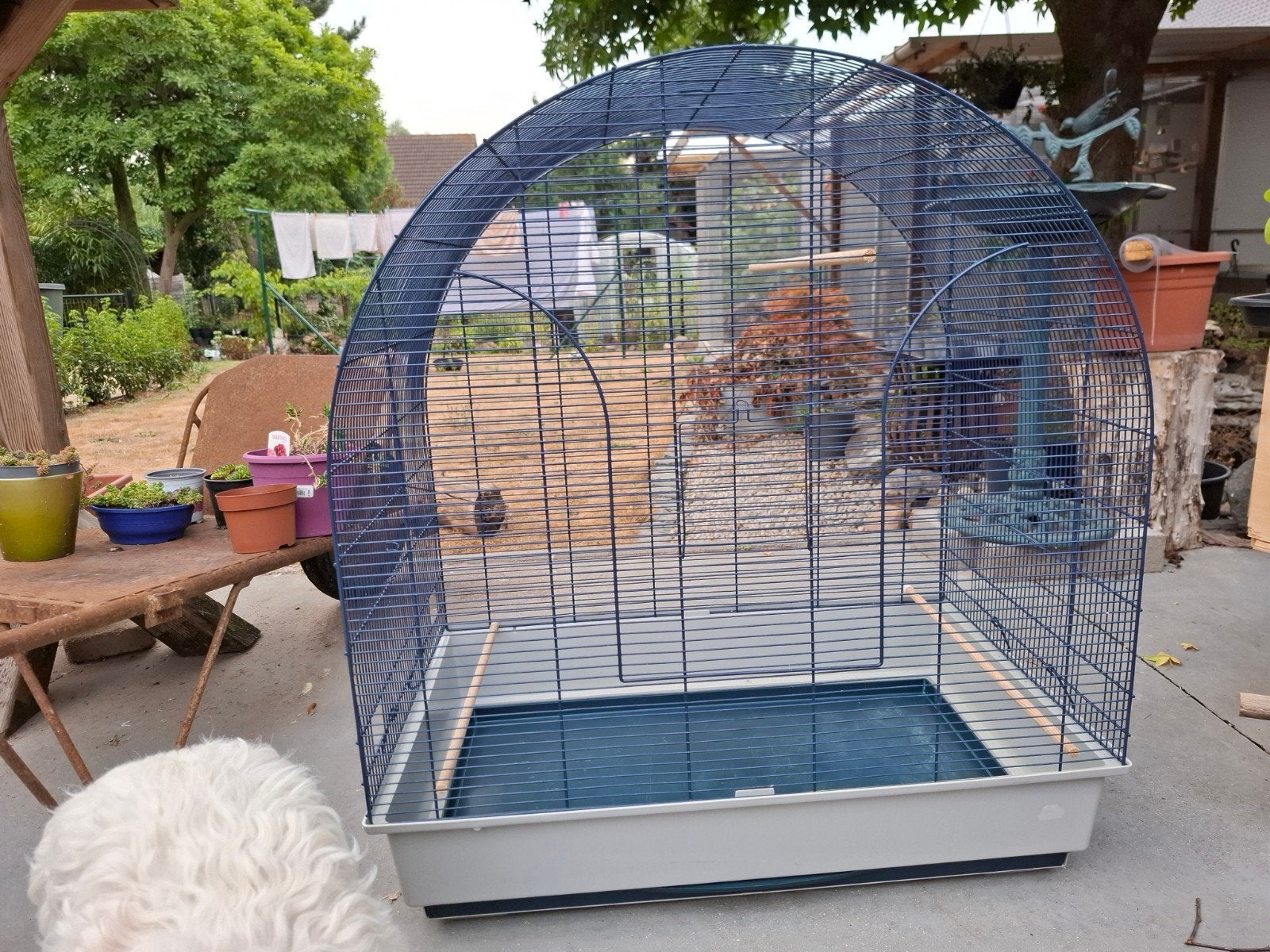 grote vogelkooi zonder voer en drink potjes., Dieren en Toebehoren, Ophalen, Gebruikt, Vogelkooi