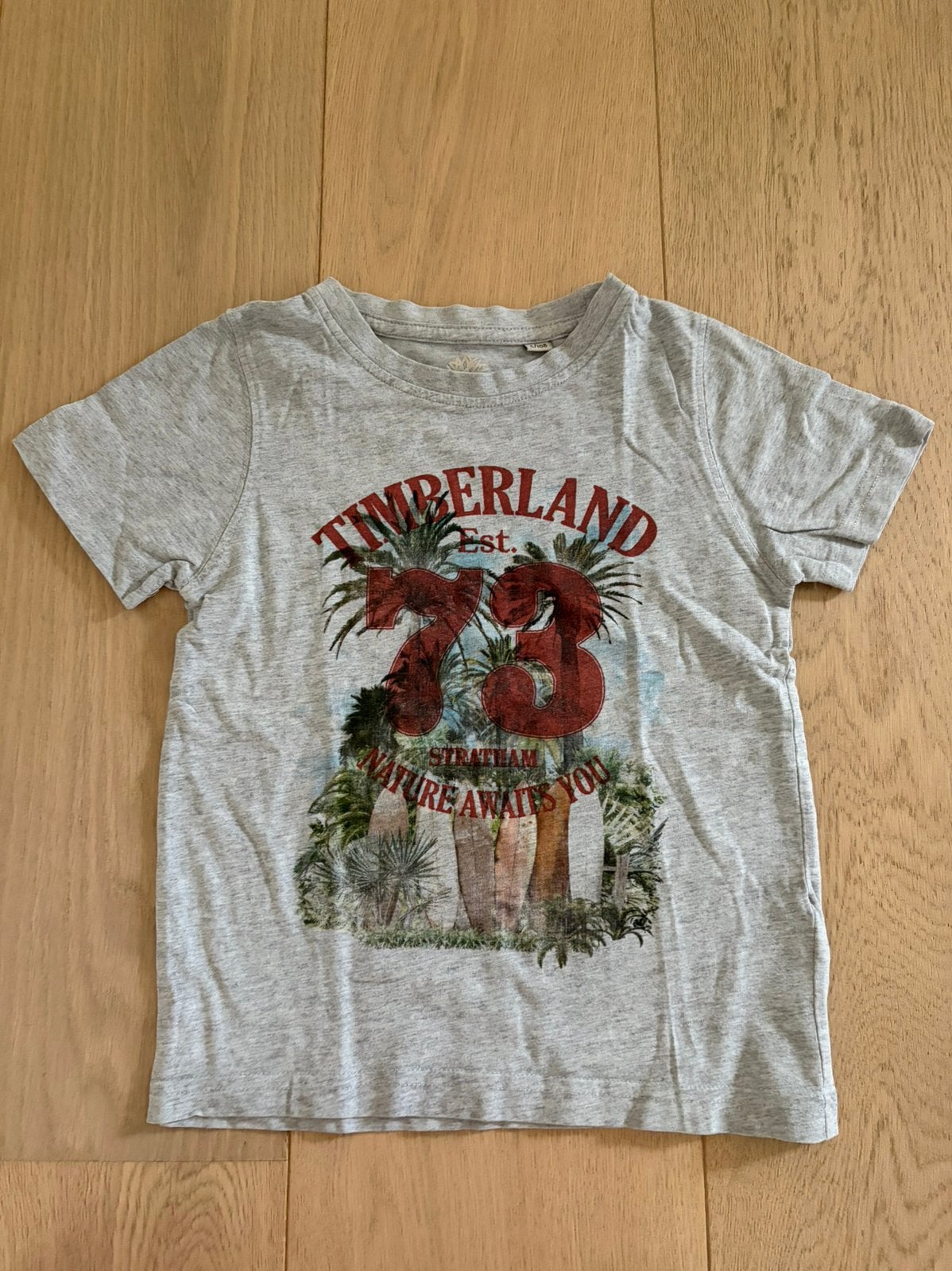 T-shirt Timberland maat 5 jaar, Enfants & Bébés, Vêtements enfant | Taille 110, Enlèvement ou Envoi, Comme neuf, Garçon, Chemise ou À manches longues