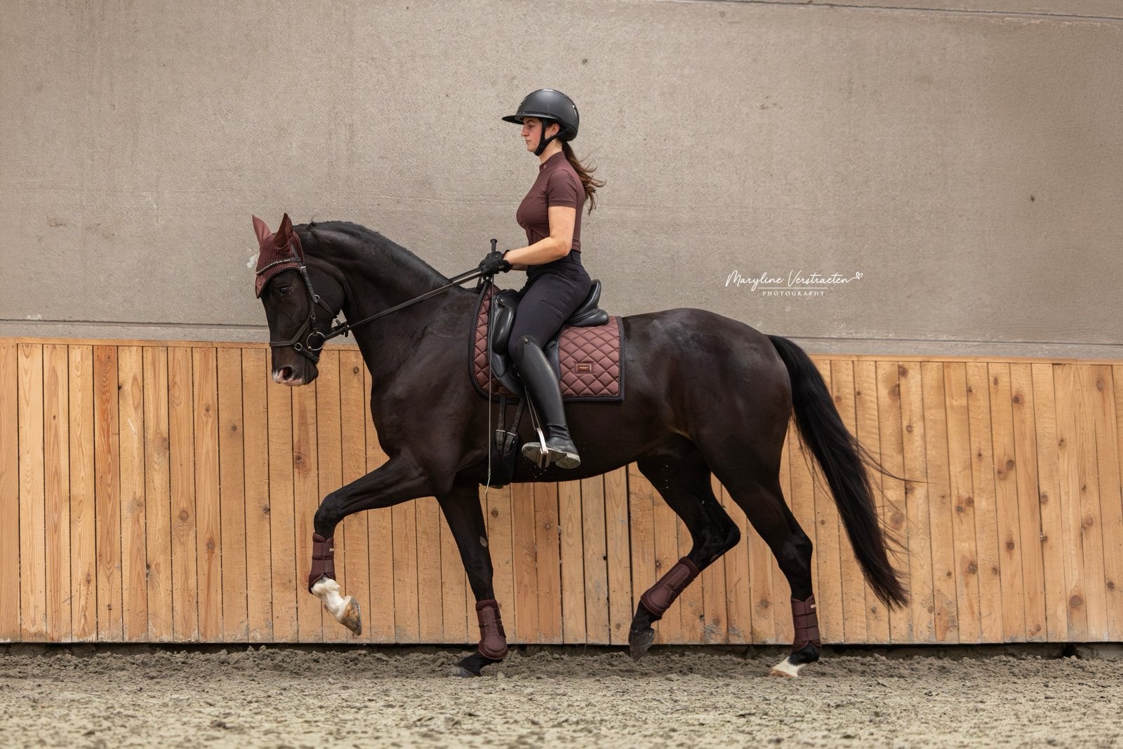 3jarige Toto jr x spielberg, Hongre, 165 à 170 cm, Cheval de dressage, 3 à 6 ans